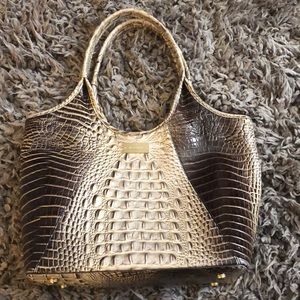 Brahmin Purse